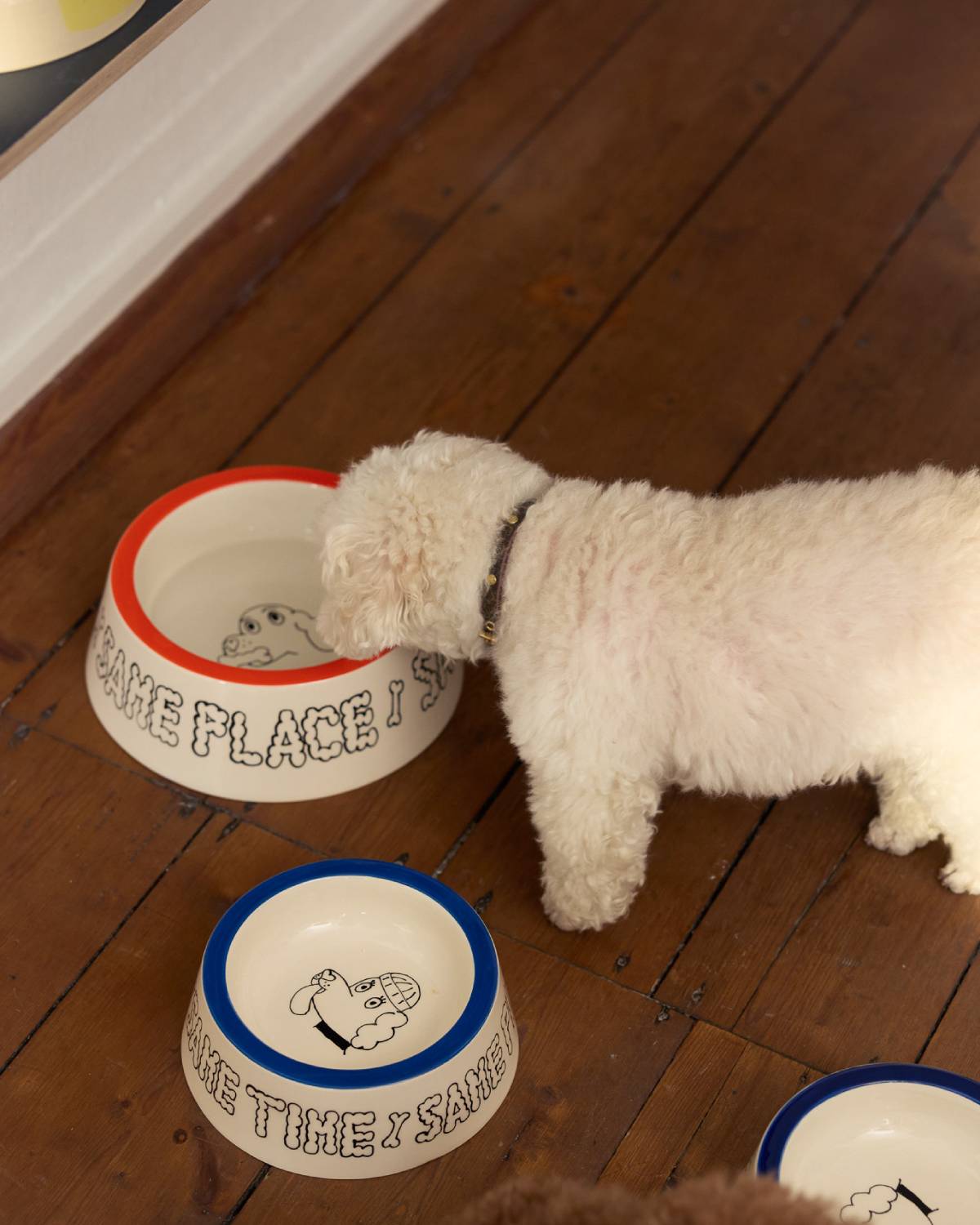 DOGBOWL - LARGE | ORANGE | Jimu Kobayashi