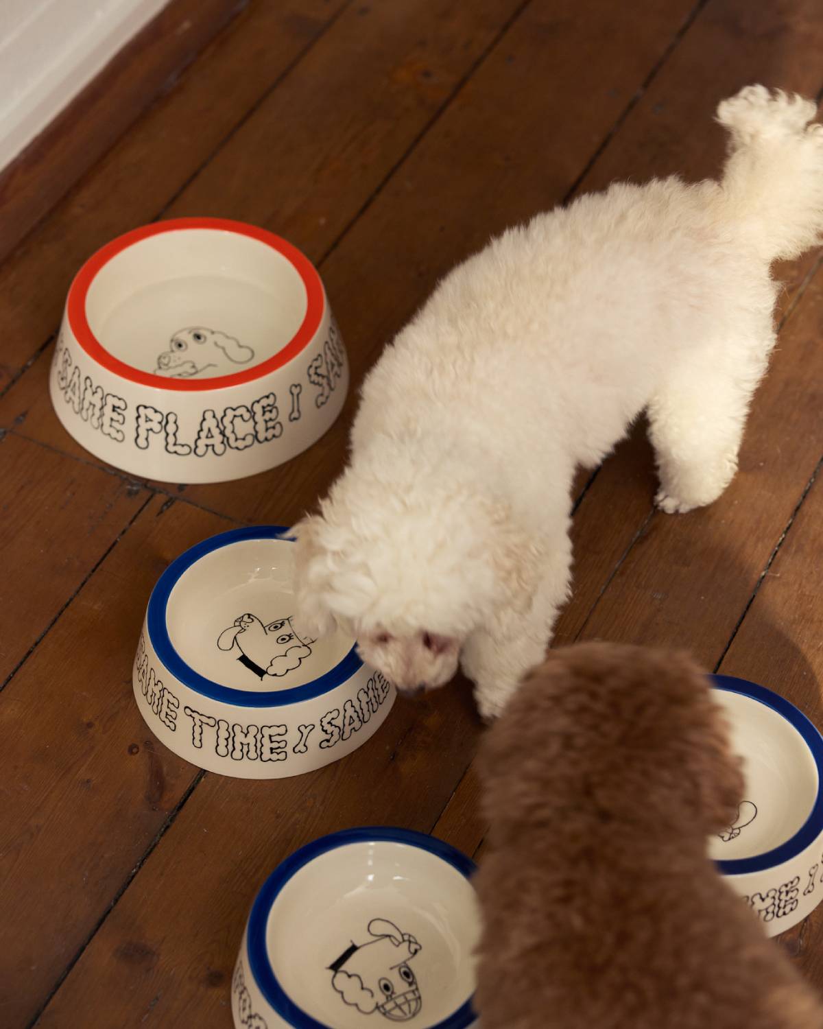 DOG BOWL SET - SMALL & MEDIUM | Jimu Kobayashi