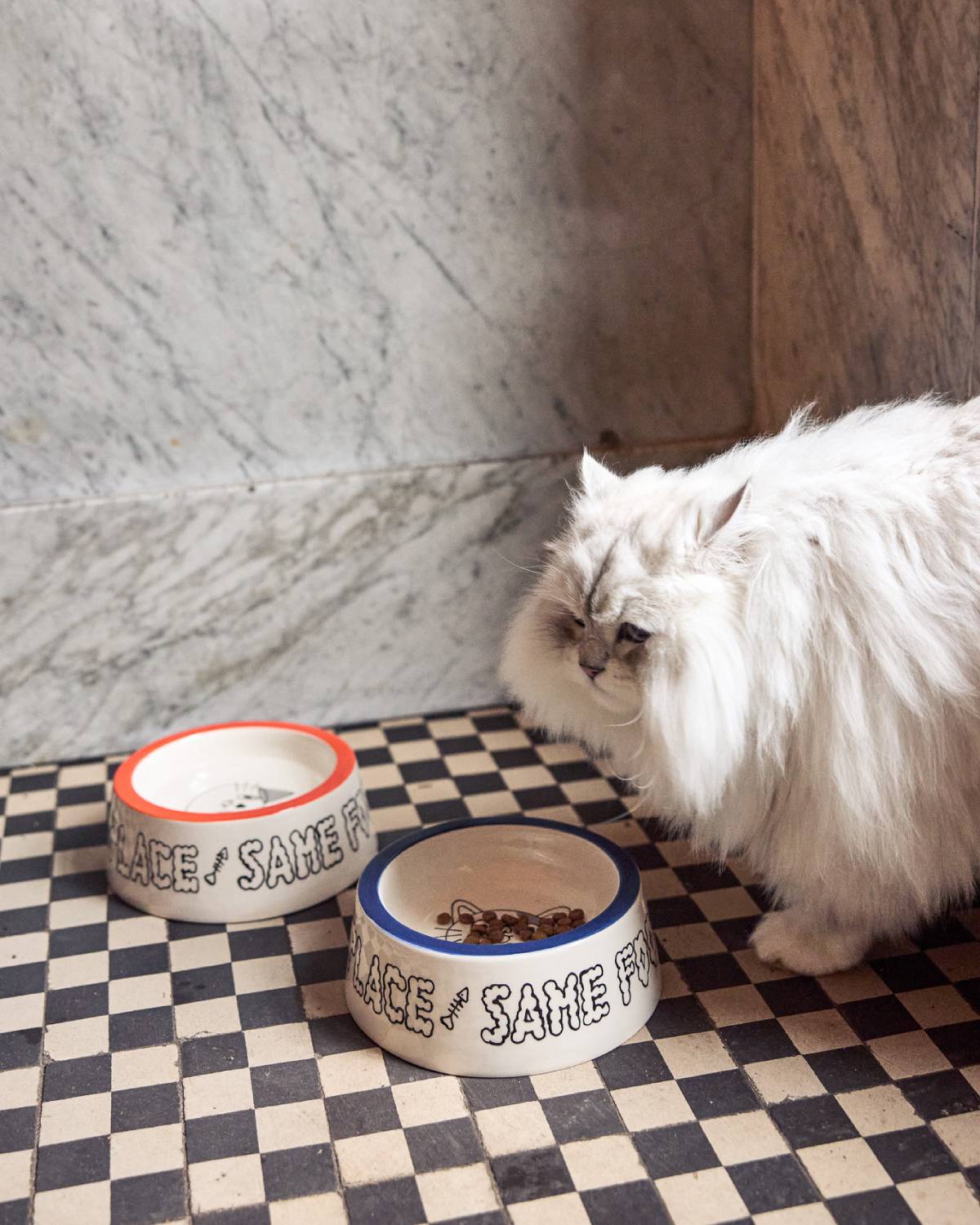 CAT BOWL SET | Jimu Kobayashi