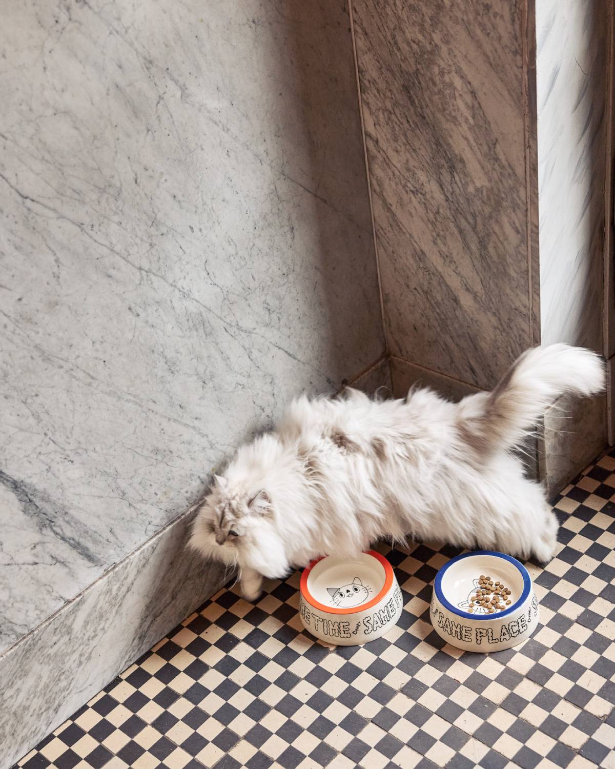 CAT BOWL SET | Jimu Kobayashi