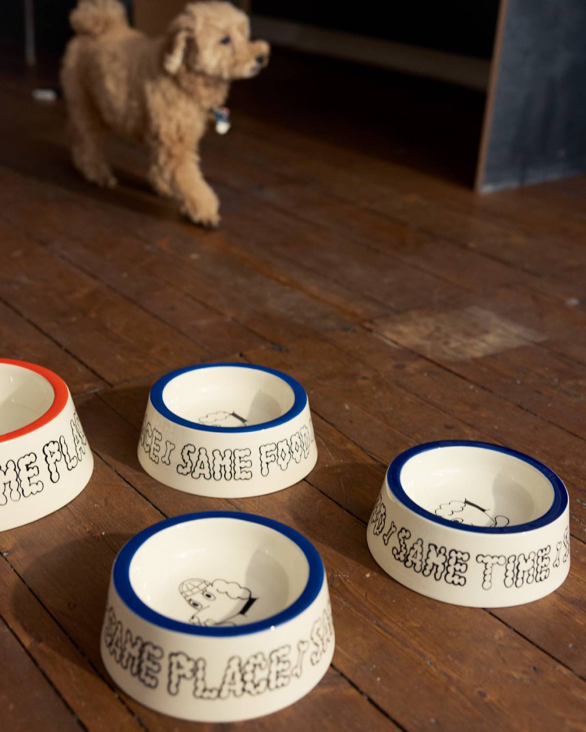 DOG BOWL SET - MEDIUM | Jimu Kobayashi