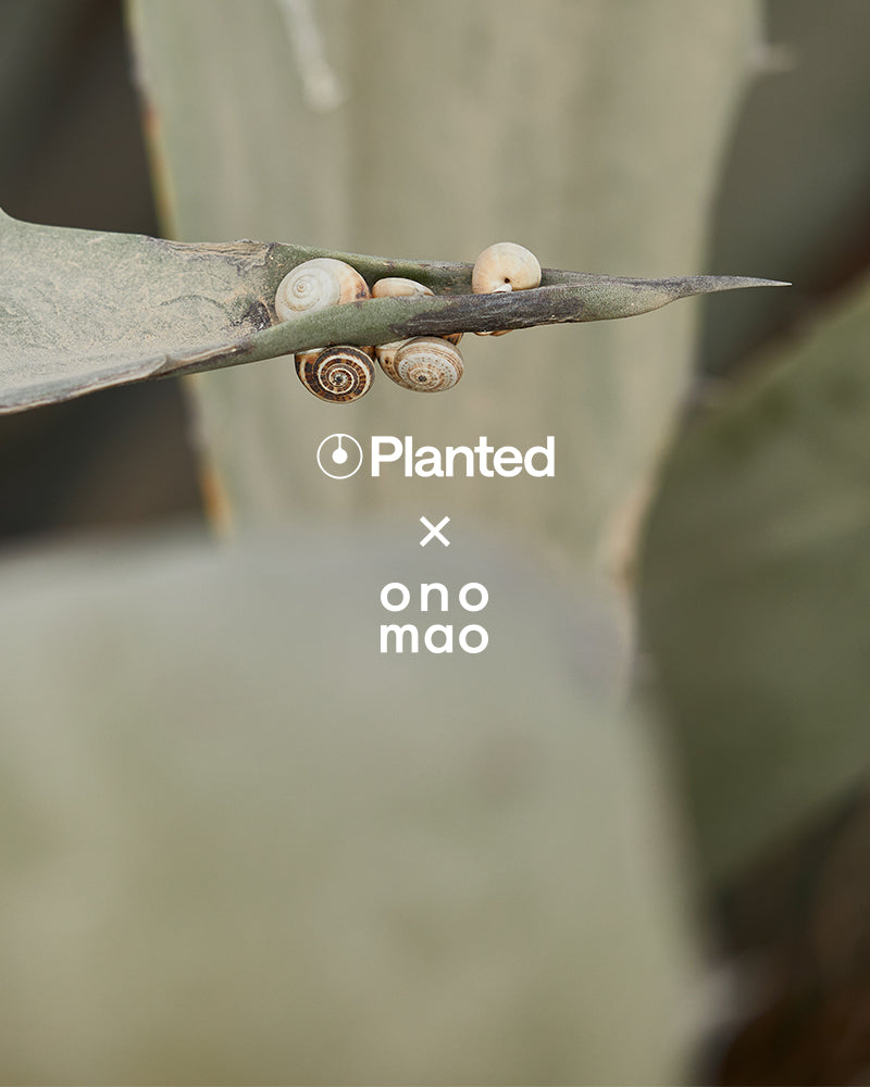 Planted x onomao